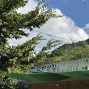초원민박 | [전북 완주 동상계곡] 초원산장 평상 대여 후기 - 맑고 깊은 물에서 즐긴 최고의 여름 피서