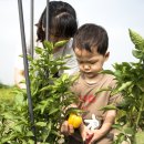 주완농장 이미지