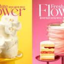 달의케이크 이미지