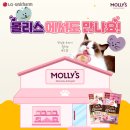 스푼샵 이미지