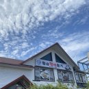 신기길 | 진심을 담은 후기- 청도 250914