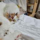 통이네집 이미지
