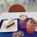 한강뮤지엄 이미지