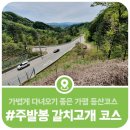 가평 주발봉 갈치고개 코스, 가볍게 다녀오기 좋은 가평 등산코스