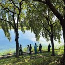 새창조이야기(주) 이미지