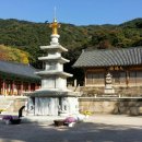 수덕식당 이미지