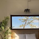 진도해안로민박 이미지