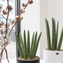 서부할인마트 이미지