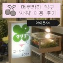 직구땡 | 아이폰 6s 메루카리 '사줘' 직구 배송 기간 이용 후기