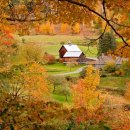 행복을주는공인중개사사무소 이미지