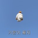 BHC치킨 안락점 | [제주도] 혼여 1일차 - bhc 동글락 치킨, 북호텔, 대한항공 지연, 뚜벅이