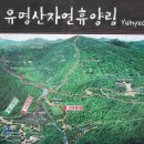 제718차 유명산 산행기(2013.9.22) 이미지