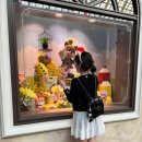 인생먹거리 이미지