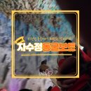 울산 울주 자수정동굴나라 보트 체험 후기 입장료
