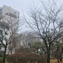 목동 아시아경제