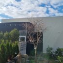 별시도룩 이미지