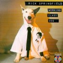 Dog 앤 Story | 20250226 안녕하세요 엘피카페블루입니다!...Rick Springfield [Working Class Dog](1981년)