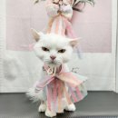 잔다냥 성남점 이미지