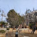 온세병원 | 「대구」 온세면 월성본점 ｜ 청라언덕 ｜ 대구제일교회 ｜ 이상화 서상돈 고택
