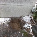 갈천초등학교 이미지