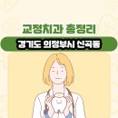 바른손외과의원 | 경기도 의정부시 신곡동 교정치과 총정리
