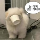 돌고래회식당 - 포항시 북구 해안로 213 | 돌고래회식당