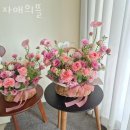 자매의뜰