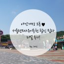 야간개장 오픈♥ 서울랜드자유이용권 할인 팁과 리얼 후기!