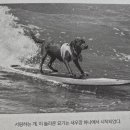 이상도행정사 이미지