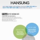한성일렉트로닉스 이미지