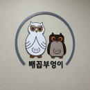 부엉이집밥 | 공주 신관동 맛집 가성비맛집 기가막히는 배꼽부엉이