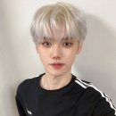 미니콩 이미지