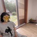 날도 좋은데 템플ㄱ? 용문사 템플스테이 갈 사람 (고양이, 자연좋아추천)
