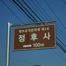 정후사 이미지