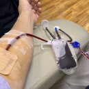 [암환자 헌혈] 41년 동안 헌혈 300회 이미지