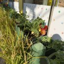 미소유치원(급식실 포함) | 금천구 동산유치원 교육 설명회 후기, 프로그램·돌봄·식사까지 완벽했던 이유