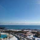 장원흑돼지 | 제주 겨울여행 표선 해비치 호텔&amp;리조트 후기 + 주변 즐기기