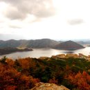 자양벚꽃100리길 이미지