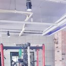 레드윙 복싱 이미지