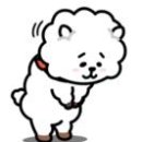 수실천 이미지