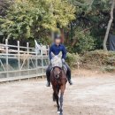 유천승마장 네이버블로그