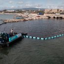 클린업(UP) 이미지