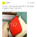 레드빈투어 이미지