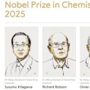 [2025 DAILY PICK 제171호] ‘보이지 않는 세계를 읽는 기술…2025 노벨상, 기초과학의 새 방향’ 등 이미지