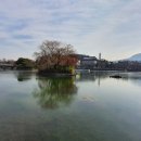 나무테크 이미지