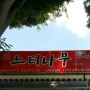 느티나무주유소 이미지