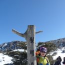 한라산 - 제주시 | 한라산