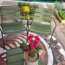 하모니 당구클럽 이미지