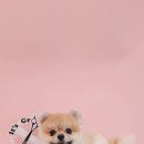 잇츠그루밍타임 이미지