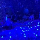 우주태권도장 이미지